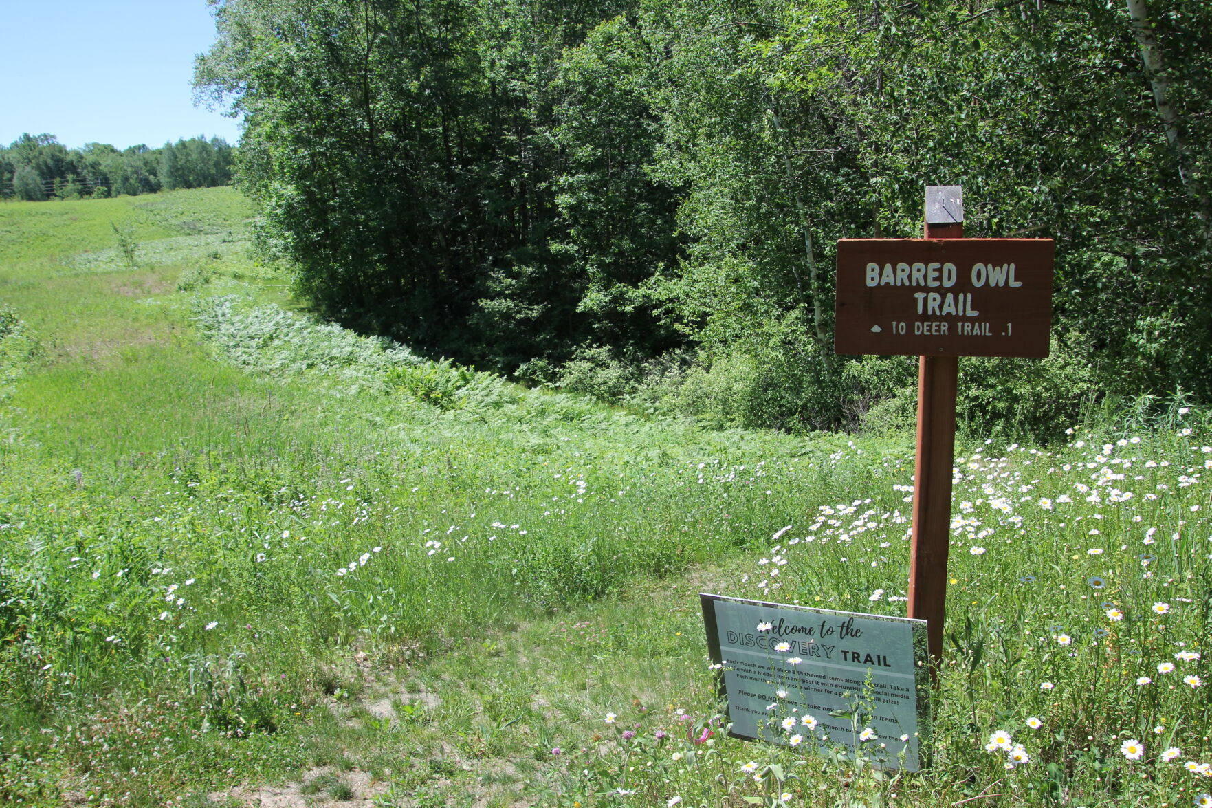 Hunt Hill Audubon Sanctuary 3.JPG